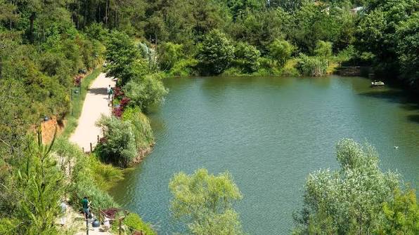 Scenic lake surrounded by forest at Ataturk Urban Park Istanbul